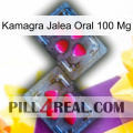 Kamagra Oral Jelly 100 Mg 15